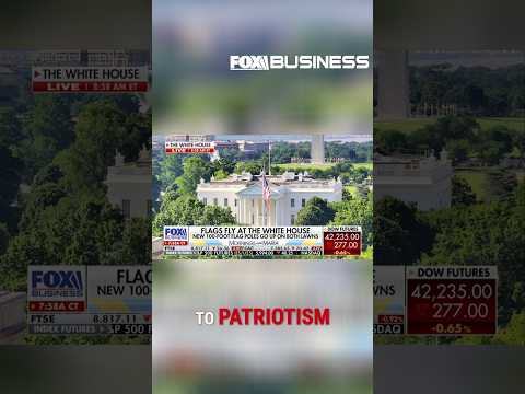 Donald Trump has brought back patriotism: Fahey #shorts #trump #whitehouse #americaflag