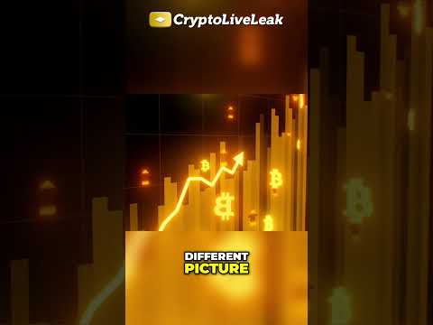 Crypto Tug-of-War: Volatility vs. Long-Term Bull Run