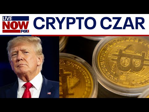 Trump &quot;AI &amp; Crypto Czar&quot; speaks on cryptocurrency AI investment