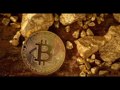 How a Single Tweet from Dan Held Triggered a Bitcoin Boom: Full Breakdown