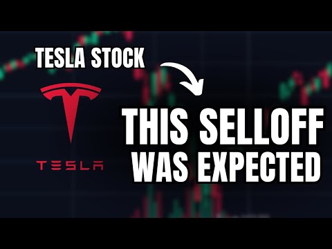 Elon Musk&#039;s AI Bombshell + Tesla Stock Selloff..