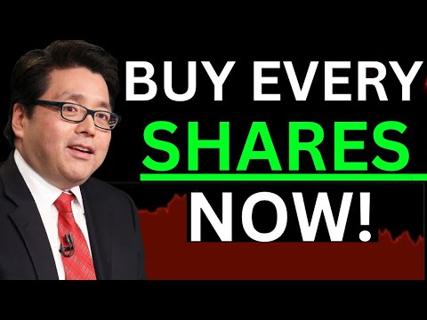 TOM LEE | 3 AI Stocks Wall Street Millionaires Are Quietly Buying