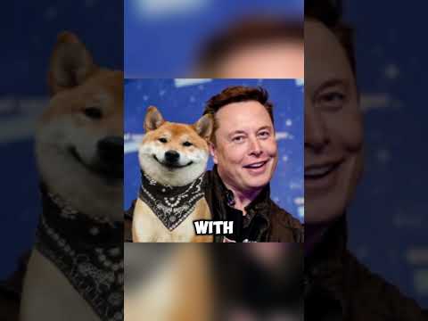 Will DOGE COIN Reach New Heights with Elon s Help