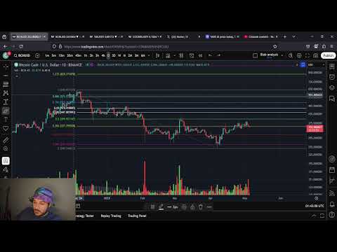 BCH Bitcoin Cash: The Calm Before The Storm