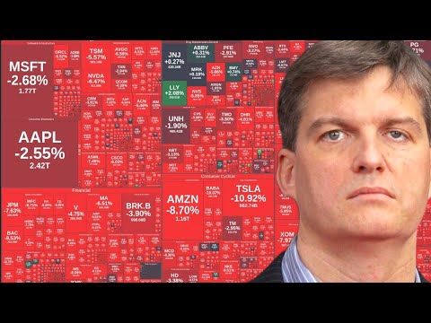 MICHAEL BURRY WENT ALL IN THIS STOCK!