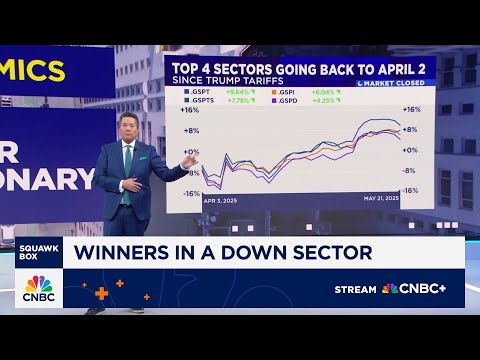Sectornomics: Consumer discretionary